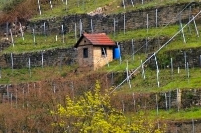 Weinberghäusle am Neckar 